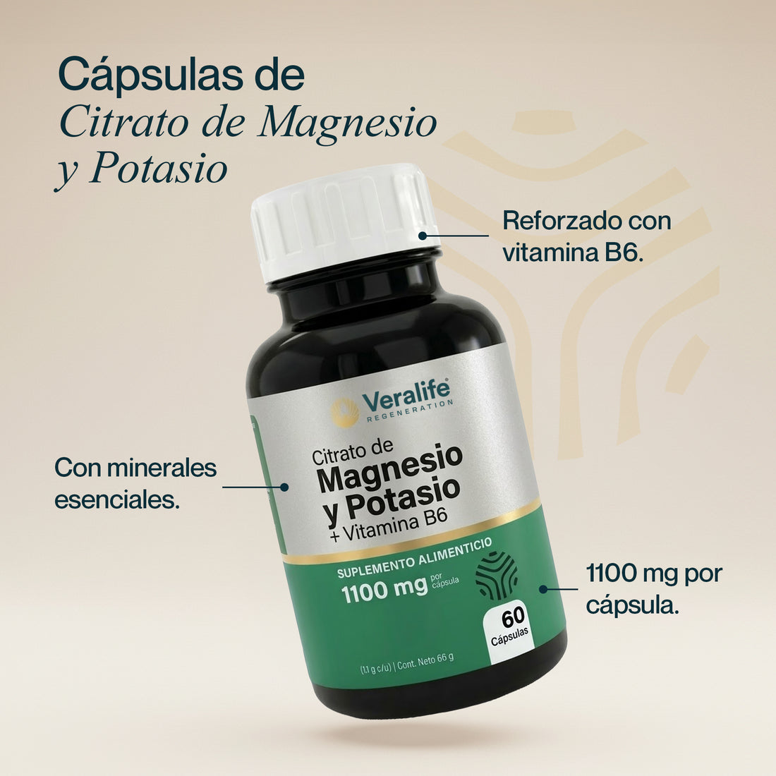 Citrato de Magnesio y Potasio: composición y presentación
