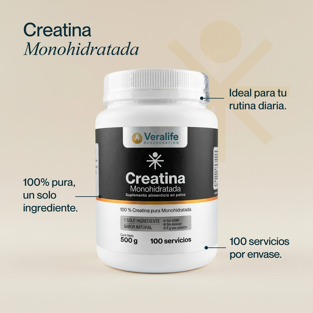 Creatina Monohidratada: composición y presentación