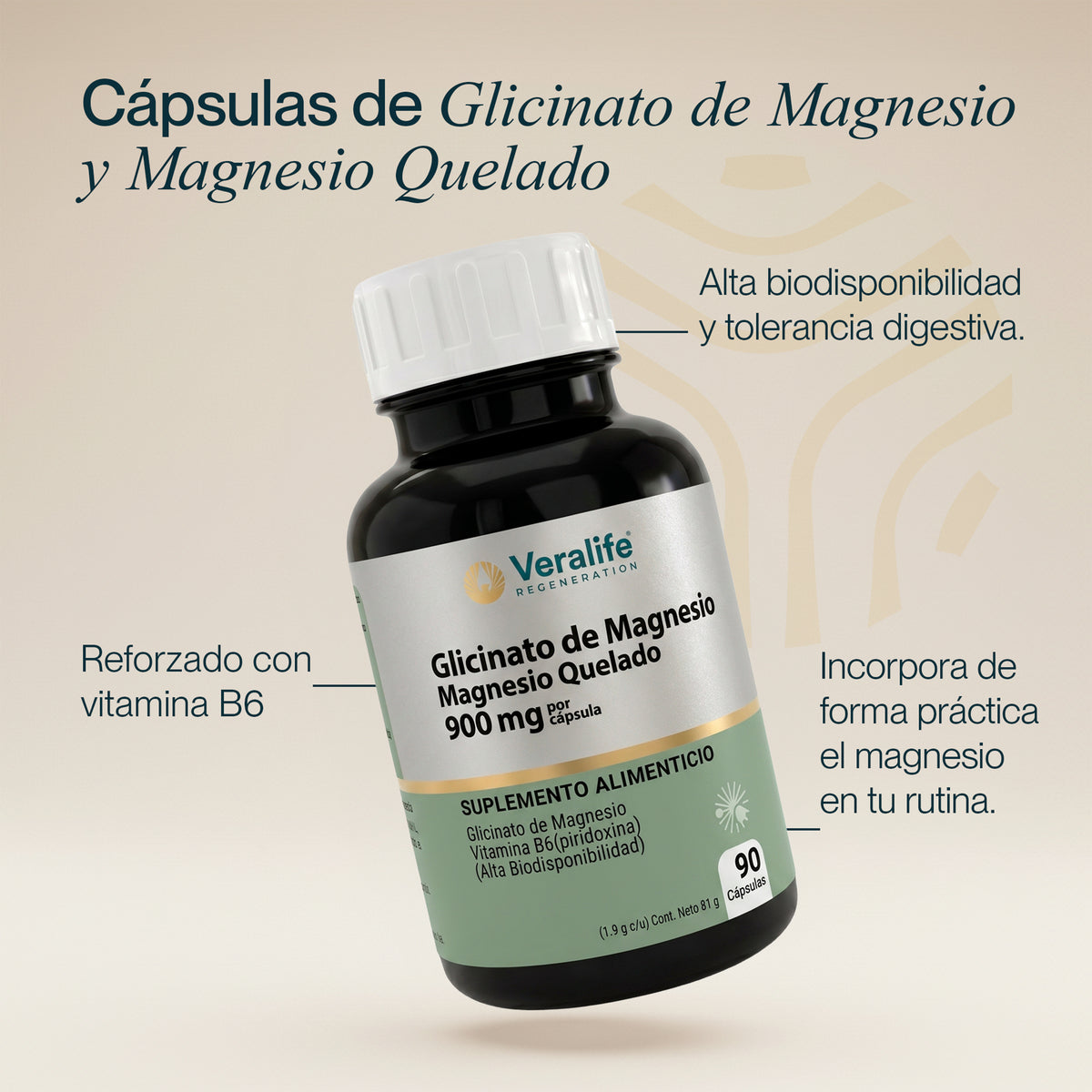 Glicinato de Magnesio con B6