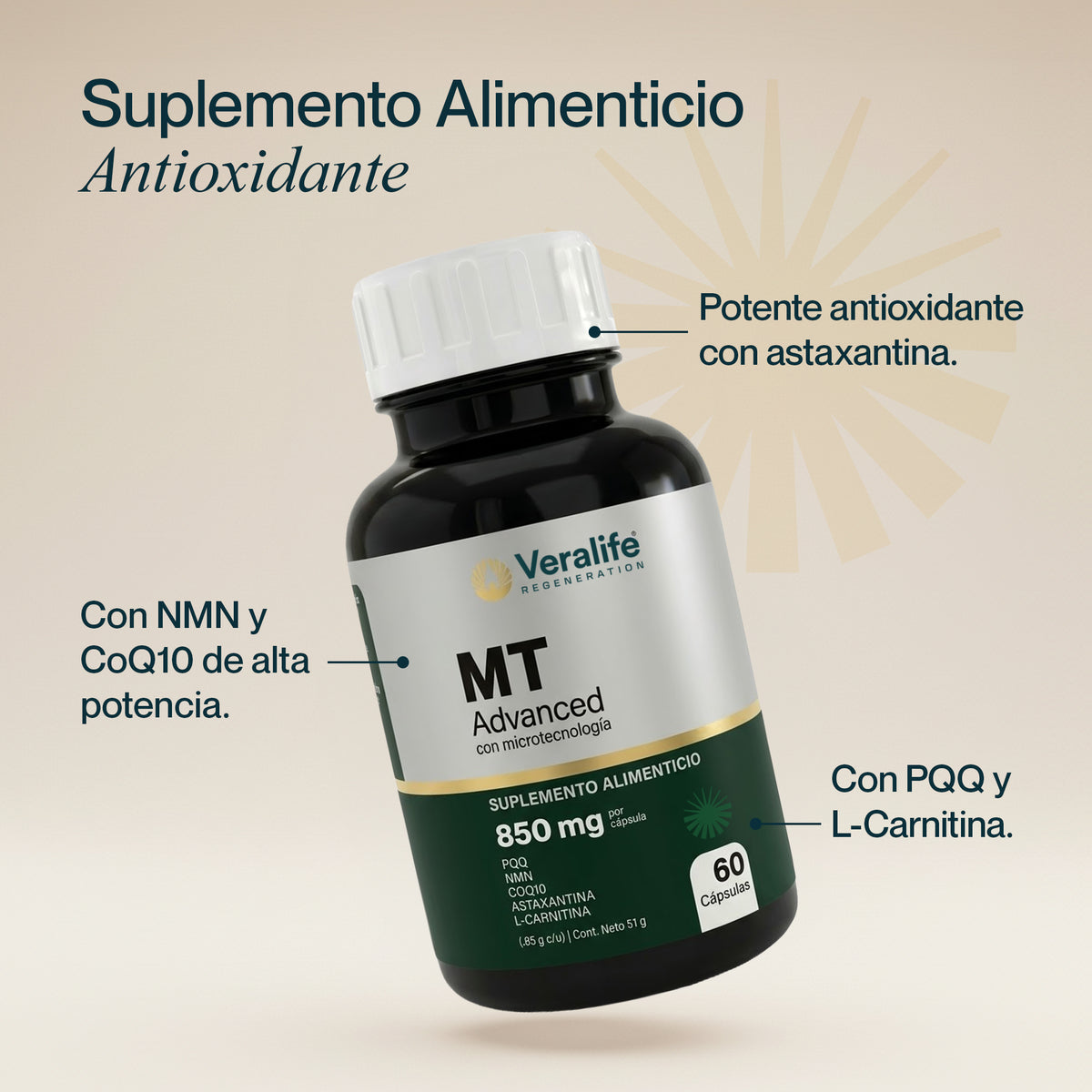 MT Advanced