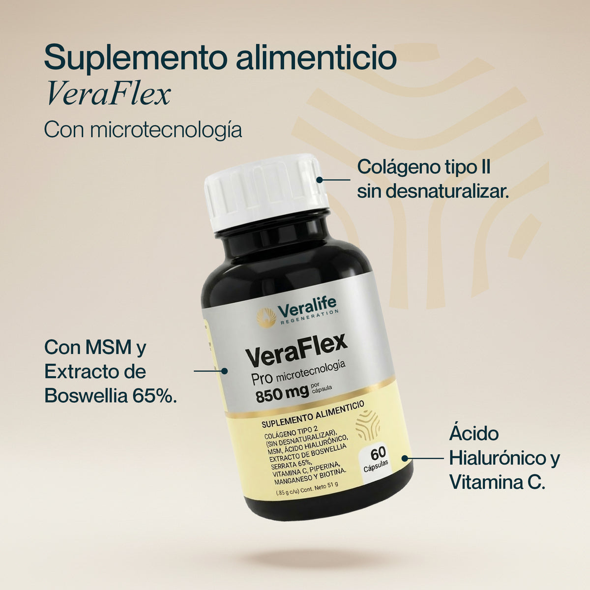 VeraFlex